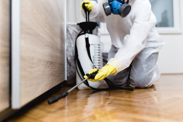 Best Pest Control Near Me in Heeia, HI