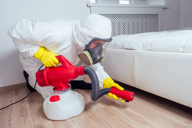 Best Affordable Pest Control Services  in Heeia, HI